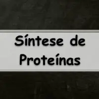 simulado com Exercícios sobre a Síntese de Proteínas para passar no enem e vestibular