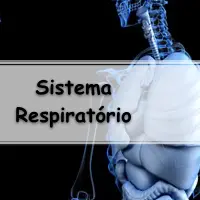 lista de exercícios sobre o Fisiologia do Sistema Respiratório