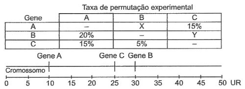 tabela frequência de permutação entre pares de genes