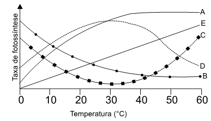 gráfico taxa de fotossíntese e temperatura
