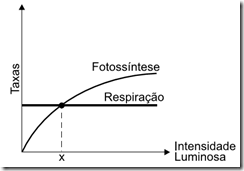 gráfico taxas fotossíntese, respiração e intensidade luminosa