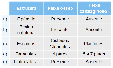 exercícios tabela com as diferença entre peixes ósseos e peixes cartilaginosos