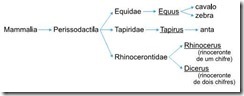 taxonomia do grupo Mammalia