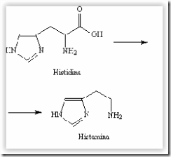 síntese da histamina por meio de uma reação de descarboxilação