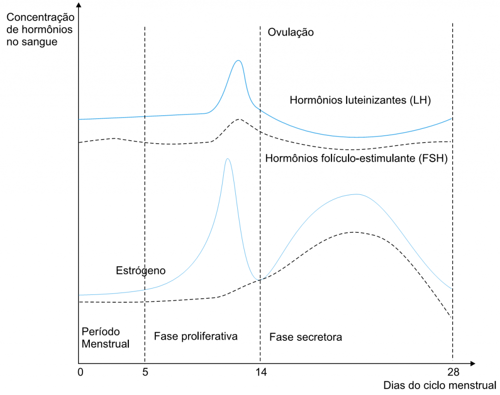 gráfico da produção e a flutuação dos quatro diferentes hormônios sexuais envolvidos no ciclo menstrual