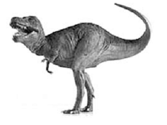 Santanaraptor placidus