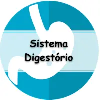 lista de exercícios sobre Digestão Humana com gabarito
