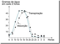 gráfico das taxas de absorção e de transpiração de uma planta durante 24 horas