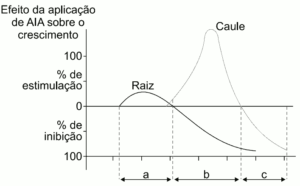 gráfico dos efeitos das diferentes concentrações do ácido indolil-acético (AIA) sobre o crescimento da raiz e do caule