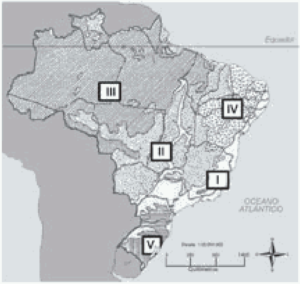 mapa das Regiões Bioclimáticas do Brasil
