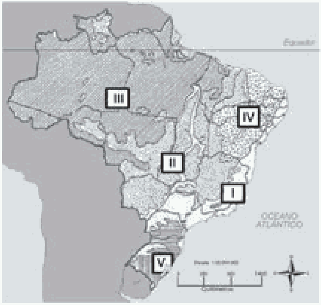 Os Relevos E Os Biomas Brasileiros 10 Exercícios - Exercícios Web