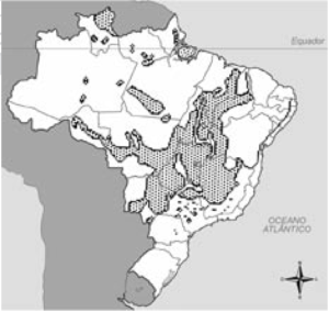 mapas relevos e biomas brasileiros