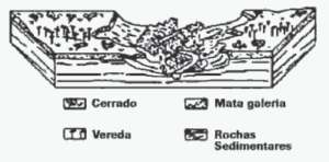 bloco-diagrama representativo de uma paisagem natural do Centro-Oeste