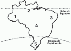 mapa com paisagens brasil