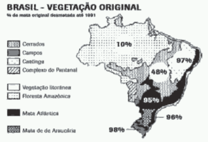 mapa da vegetação original do brasil