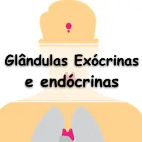 Lista de questões de histologia sobre Glândulas Exócrinas e endócrinas, para estudantes de nível médio e superior.
