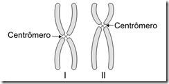 centrômero dos cromossomos