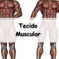lista com 10 exercícios sobre o tecido muscular para ir bem nas avaliações