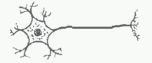 esquema de um neurônio 