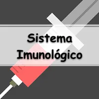 Simulado com Questões sobre o Sistema Imune Humano para estudantes de Fisiologia e Imunologia dos cursos de Medicina, Enfermagem, Biologia e Biomedicina.