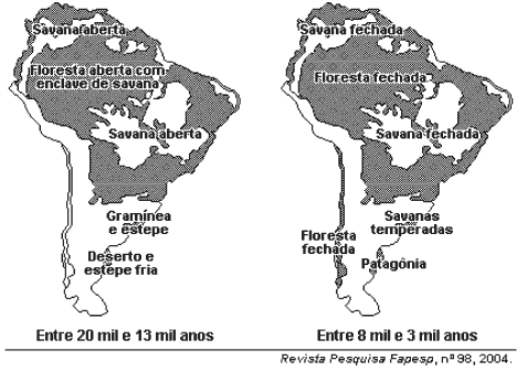 vegetação de uma região antes e depois de uma grande mudança climática