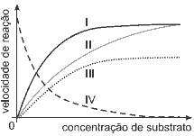 gráfico de velocidade de reação e concentração de substrato