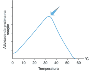 gráfico da correlação entre a atividade enzimática e a temperatura