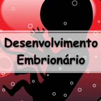 lista com questões de embriologia sobre Gastrulação, Neurulação e Organogênese com gabarito
