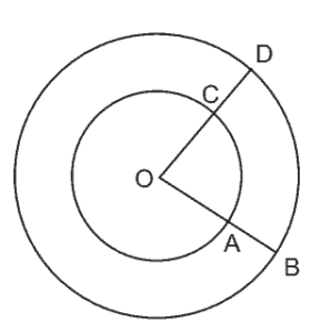 duas circunferências coplanares e concêntricas