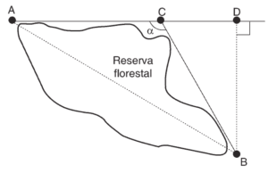 reserva florestal medidas