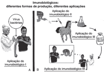 diferentes formas de produção e aplicação de imunobiológicos