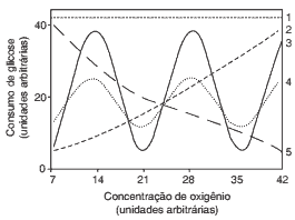gráfico do perfil de consumo de glicose