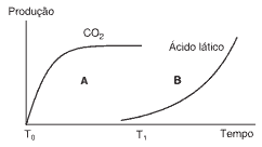 produção de CO2 e ácido lático no músculo de um atleta