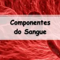 resumo componentes do sangue plaquetas