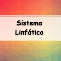 Resumo sobre as principais características do Sistema Linfático