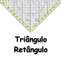 exercícios e atividades sobre Elementos do Triângulo Retângulo para concursos e estudantes