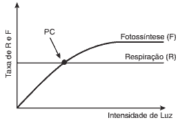 gráfico velocidade do processo fotossintético