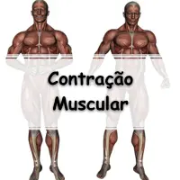 Resumo sobre a Energia para a Contração Muscular