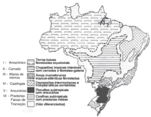 mapa dos seis domínios morfoclimáticos e fitogeográfcos no Brasil