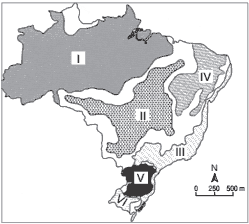Domínio Morfoclimáticos e Províncias Fitogeográficas do Brasil