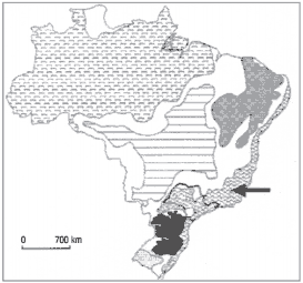 mapa do Brasil sobre os domínios morfoclimáticos