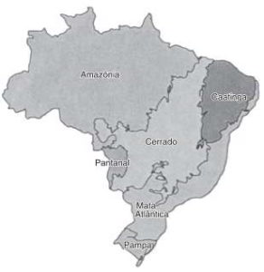 mapa com os biomas brasileiros