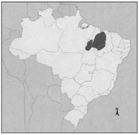 biomas do brasil destaque dos Campos Naturais