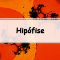 Resumo sobre o Hipotálamo e a Hipófise