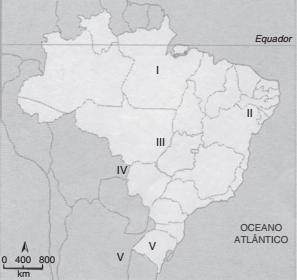 domínio das savanas tropicais ou cerrado brasileiro exercícios