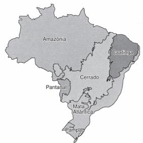 mapa dos biomas brasileiros