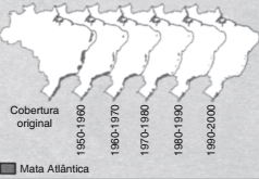 mapa da degradação da amâzonia