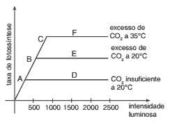 taxa de fotossíntese e intensidade luminosa