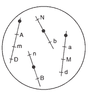 núcleo de uma célula 2n=4