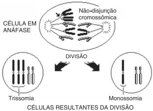Mutações Cromossômicas não-disjunção
